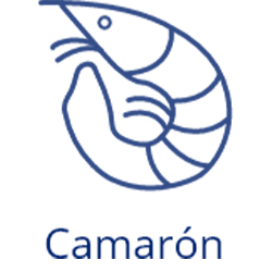 files/icon_camaron.png