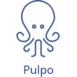 files/icon_pulpo.png