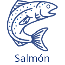 files/icon_salmon.png