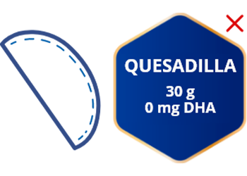 files/img_alimento_quesadilla.png