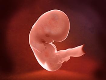 Embrión Semana 9